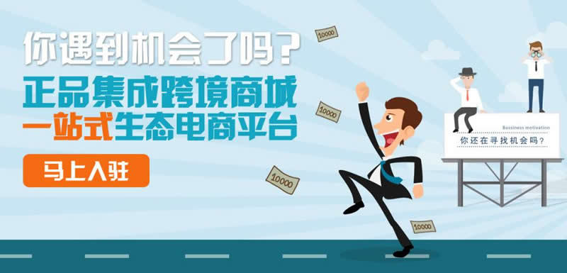 電商平台運營 電商平台運營